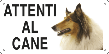 8506 - Cartello ATTENTI AL CANE (collie)