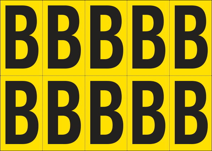 905B - Foglio n.10 etichette adesive G/N lettera B