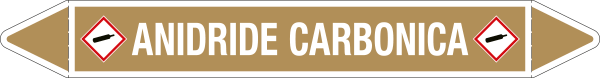 99A891D - Etichetta singola autoadesiva con frecce e simboli ANIDRIDE CARBONICA