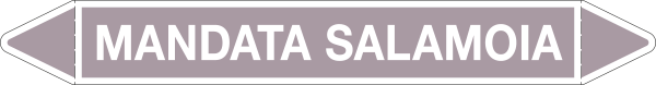 99C930A - foglio da 5 etichette autoadesive con frecce+simboli MANDATA SALAMOIA