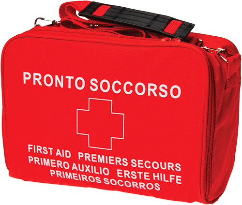 CPS600 - Kit MIZAR allegato 2 in borsa nylon              D.M. 388