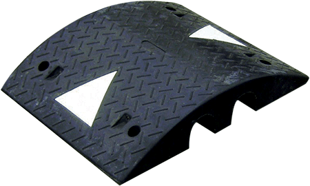 PGRV22