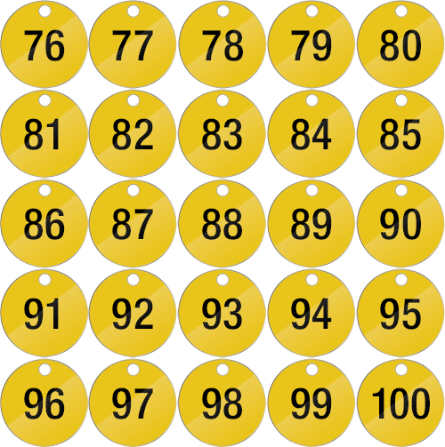 PN25100Y