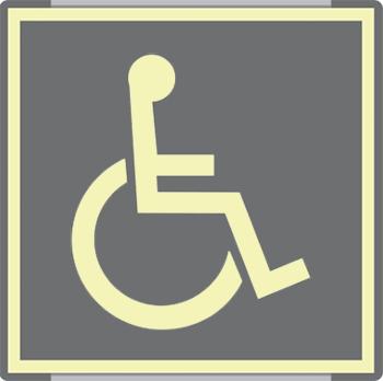 SEML15653AC - targa monofacciale fotoluminescente METAL Toilette disabili