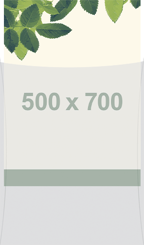 SMBT2 - busta per protezione frontale per foglio 500x700