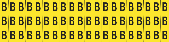 [900B] 900B - Foglio n.60 etichette adesive G/N lettera B