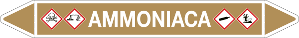 [99B282A] 99B282A - foglio da 5 etichette autoadesive con frecce e simboli per AMMONIACA