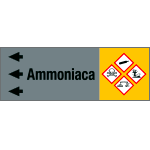 [99B282NDS] 99B282NDS - foglio da 5 etichette fondo grigio "AMMONIACA" sinistra